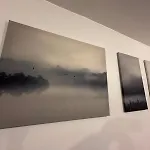 L'élégant *
