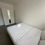 Apartamento L'élégant Saint-Etienne (Loire)