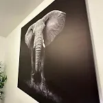 Apartamento L'élégant