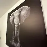 L'élégant Apartamento Saint-Etienne (Loire)
