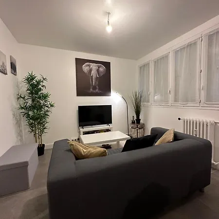 L'élégant Apartamento Saint-Etienne (Loire)