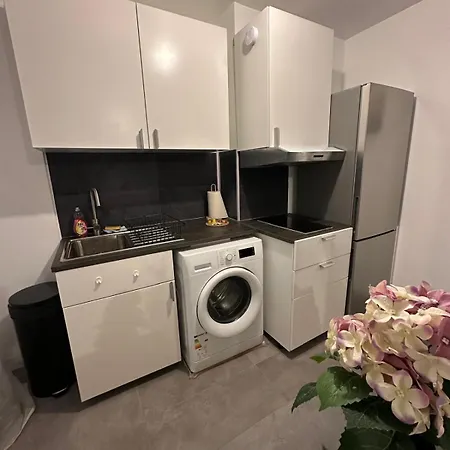 Апартаменты L'elegant *