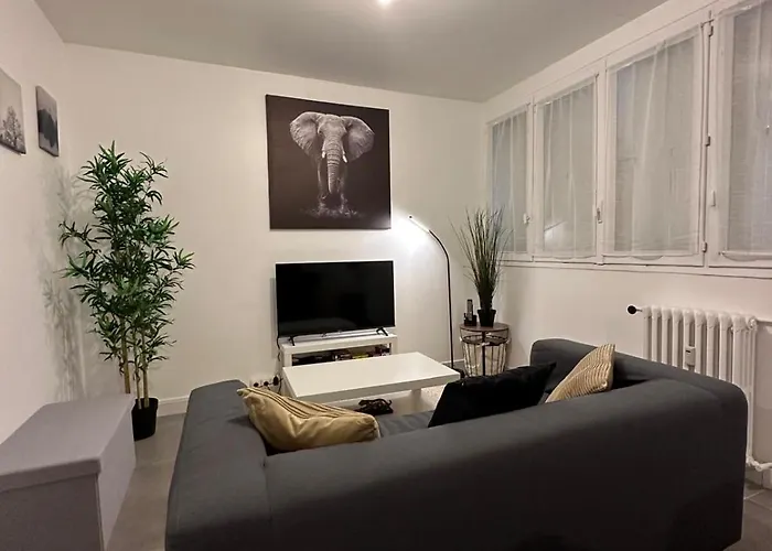 L'elegant Apartament Saint-Etienne (Loire)