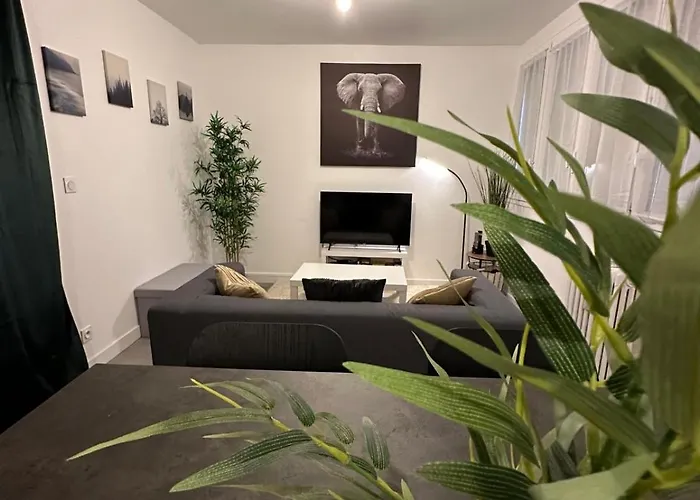 L'elegant Apartament Saint-Etienne (Loire)