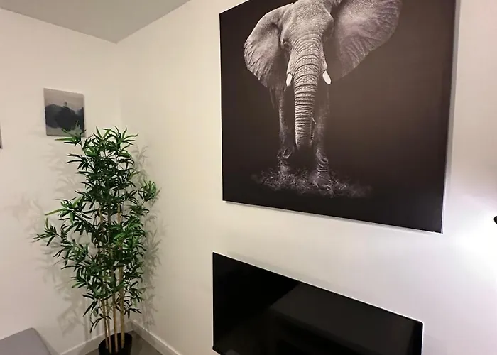 Apartament L'elegant *