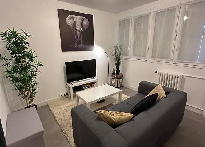 L'elegant Saint-Etienne (Loire)