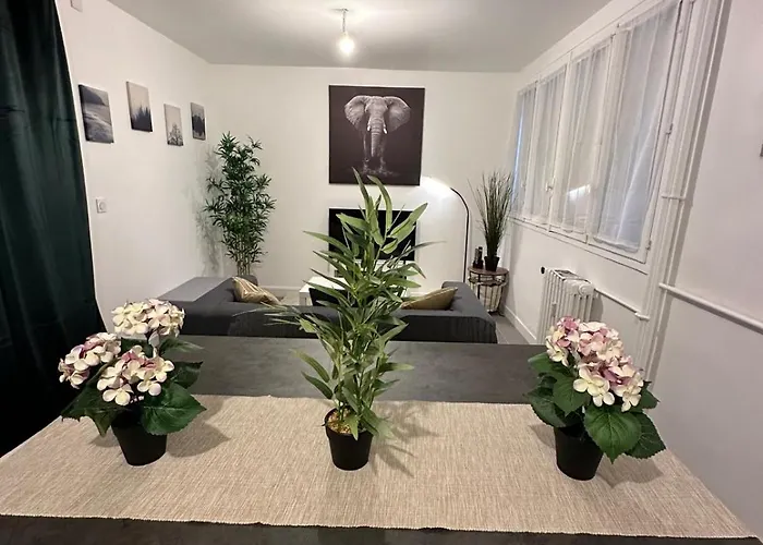 L'elegant Apartament Saint-Etienne (Loire)