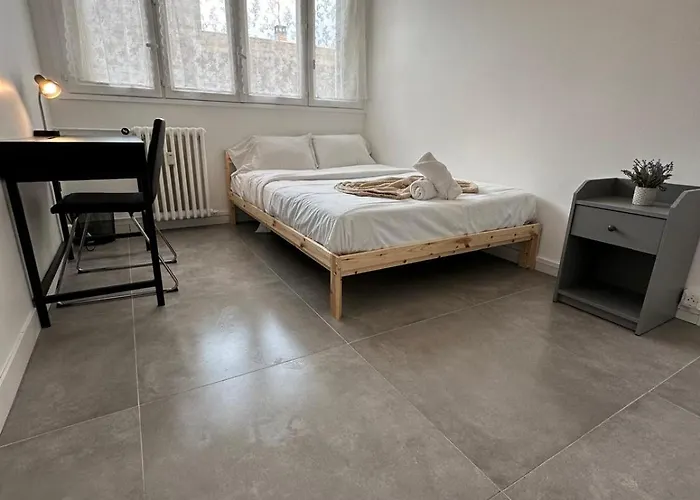 Apartament L'elegant Saint-Etienne (Loire)
