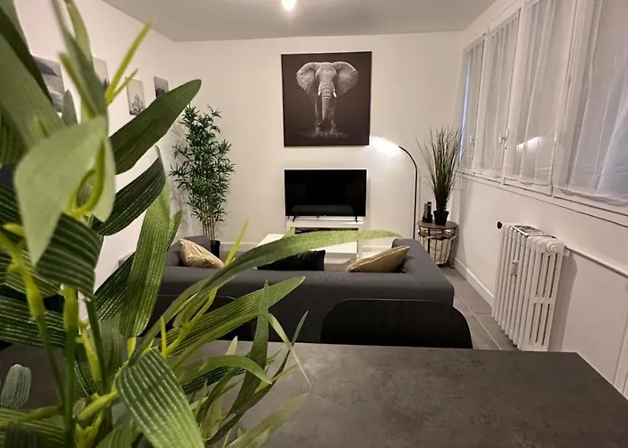 Apartament L'elegant Saint-Etienne (Loire)